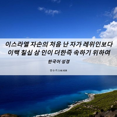 Picture 06 - 민수기 3:46 KOR - 이스라엘 자손의 처음 난 자가 - Bible Verse Picture