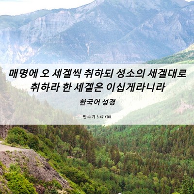 Picture 06 - 민수기 3:47 KOR - 매명에 오 세겔씩 취하되 성소의 - Bible Verse Picture