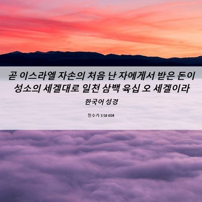 Picture 06 - 민수기 3:50 KOR - 곧 이스라엘 자손의 처음 난 - Bible Verse Picture