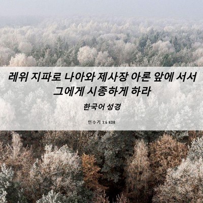 Picture 06 - 민수기 3:6 KOR - 레위 지파로 나아와 제사장 아론 - Bible Verse Picture