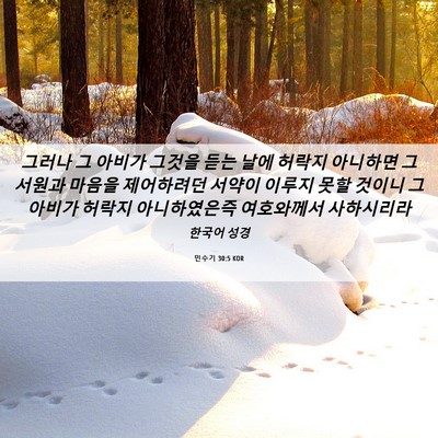 Picture 06 - 민수기 30:5 KOR - 그러나 그 아비가 그것을 듣는 날에 - Bible Verse Picture