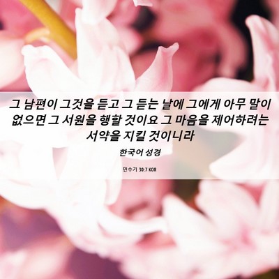 Picture 06 - 민수기 30:7 KOR - 그 남편이 그것을 듣고 그 듣는 날에 - Bible Verse Picture