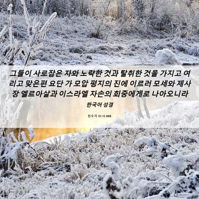 Picture 06 - 민수기 31:12 KOR - 그들이 사로잡은 자와 노략한 것과 - Bible Verse Picture