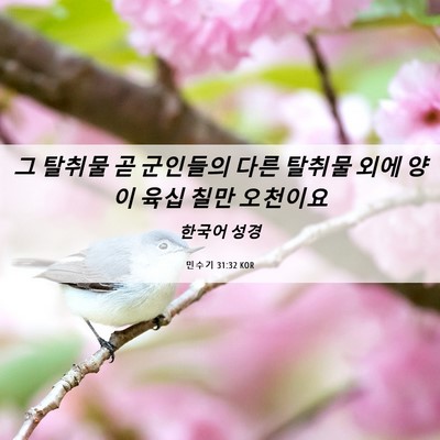 Picture 06 - 민수기 31:32 KOR - 그 탈취물 곧 군인들의 다른 탈취물 - Bible Verse Picture