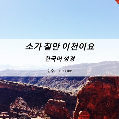 Picture 06 - 민수기 31:33 KOR - 소가 칠만 - Bible Verse Picture