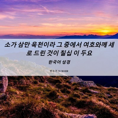 Picture 06 - 민수기 31:38 KOR - 소가 삼만 육천이라 그 중에서 - Bible Verse Picture