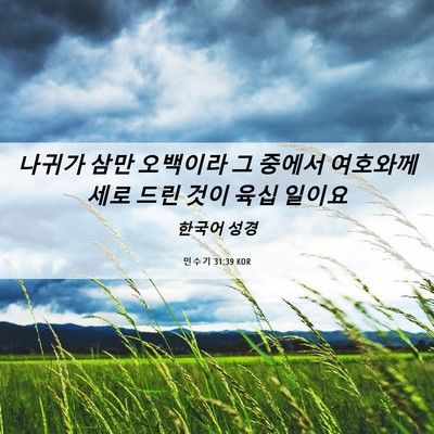 Picture 06 - 민수기 31:39 KOR - 나귀가 삼만 오백이라 그 중에서 - Bible Verse Picture