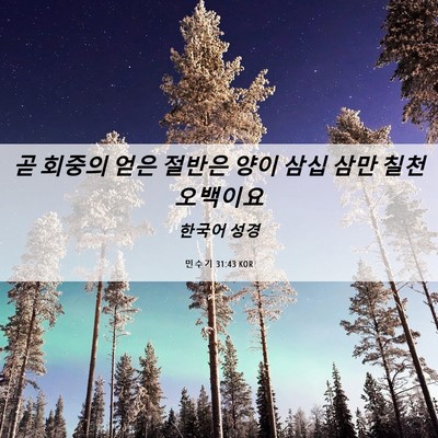 Picture 06 - 민수기 31:43 KOR - 곧 회중의 얻은 절반은 양이 삼십 - Bible Verse Picture