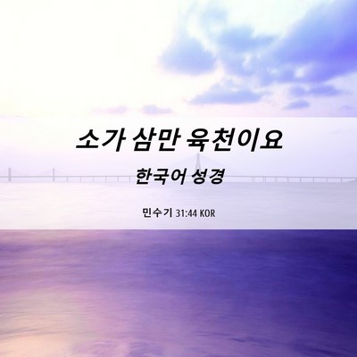 Picture 06 - 민수기 31:44 KOR - 소가 삼만 - Bible Verse Picture