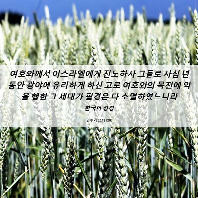 Picture 06 - 민수기 32:13 KOR - 여호와께서 이스라엘에게 진노하사 - Bible Verse Picture