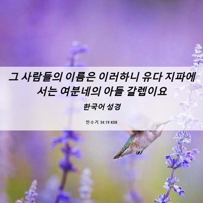 Picture 06 - 민수기 34:19 KOR - 그 사람들의 이름은 이러하니 유다 - Bible Verse Picture