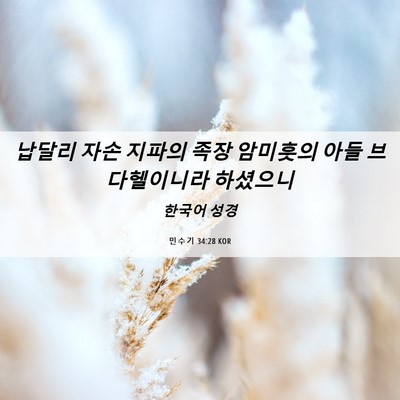 Picture 06 - 민수기 34:28 KOR - 납달리 자손 지파의 족장 암미훗의 - Bible Verse Picture