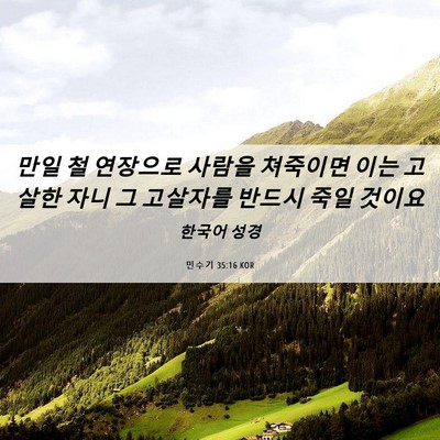 Picture 06 - 민수기 35:16 KOR - 만일 철 연장으로 사람을 쳐죽이면 - Bible Verse Picture