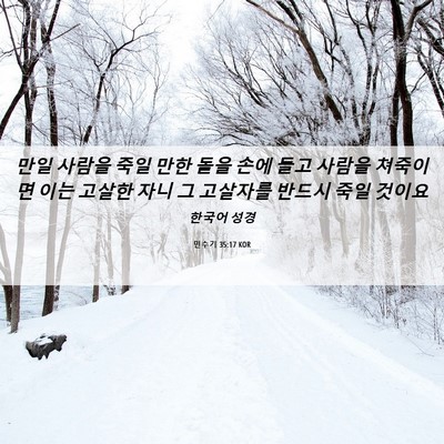 Picture 06 - 민수기 35:17 KOR - 만일 사람을 죽일 만한 돌을 손에 - Bible Verse Picture