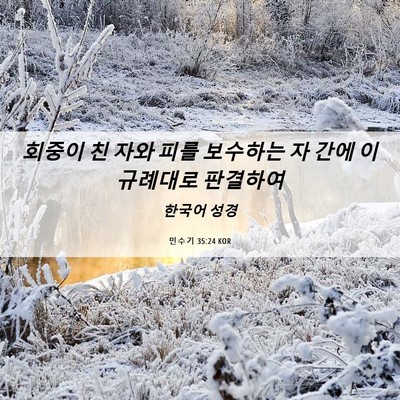 Picture 06 - 민수기 35:24 KOR - 회중이 친 자와 피를 보수하는 자 - Bible Verse Picture