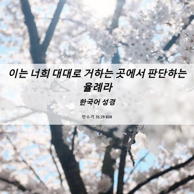 Picture 06 - 민수기 35:29 KOR - 이는 너희 대대로 거하는 곳에서 - Bible Verse Picture