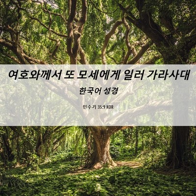 Picture 06 - 민수기 35:9 KOR - 여호와께서 또 모세에게 일러 - Bible Verse Picture
