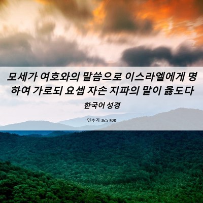 Picture 06 - 민수기 36:5 KOR - 모세가 여호와의 말씀으로 - Bible Verse Picture