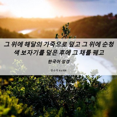 Picture 06 - 민수기 4:6 KOR - 그 위에 해달의 가죽으로 덮고 그 - Bible Verse Picture