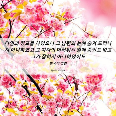 Picture 06 - 민수기 5:13 KOR - 타인과 정교를 하였으나 그 남편의 - Bible Verse Picture