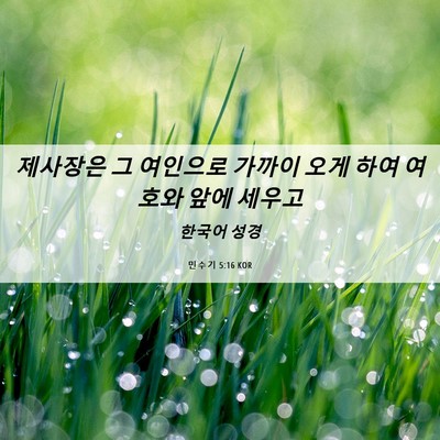 Picture 06 - 민수기 5:16 KOR - 제사장은 그 여인으로 가까이 오게 - Bible Verse Picture