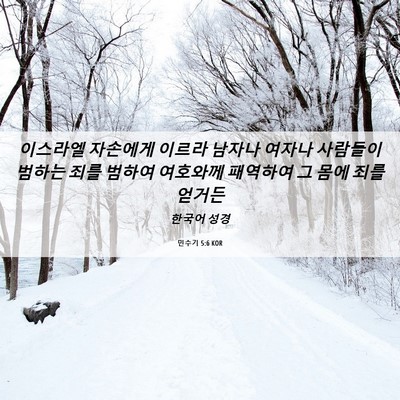 Picture 06 - 민수기 5:6 KOR - 이스라엘 자손에게 이르라 남자나 - Bible Verse Picture