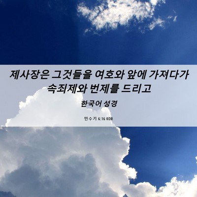 Picture 06 - 민수기 6:16 KOR - 제사장은 그것들을 여호와 앞에 - Bible Verse Picture
