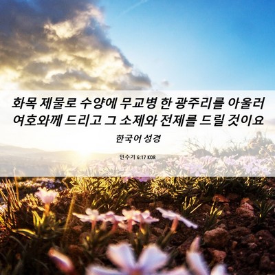Picture 06 - 민수기 6:17 KOR - 화목 제물로 수양에 무교병 한 - Bible Verse Picture