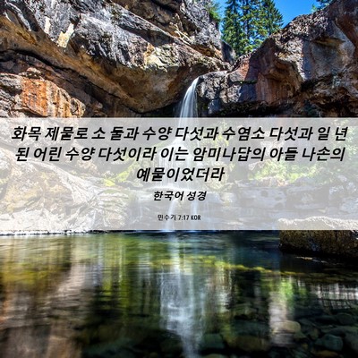 Picture 06 - 민수기 7:17 KOR - 화목 제물로 소 둘과 수양 다섯과 - Bible Verse Picture