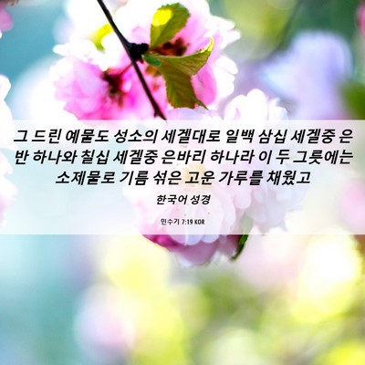 Picture 06 - 민수기 7:19 KOR - 그 드린 예물도 성소의 세겔대로 - Bible Verse Picture