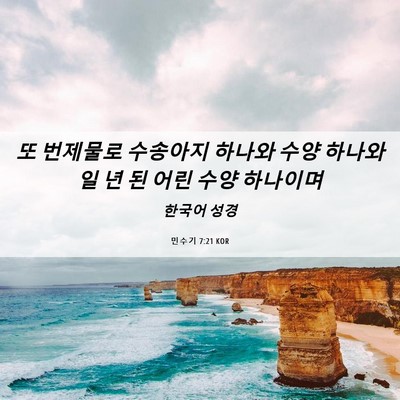 Picture 06 - 민수기 7:21 KOR - 또 번제물로 수송아지 하나와 수양 - Bible Verse Picture