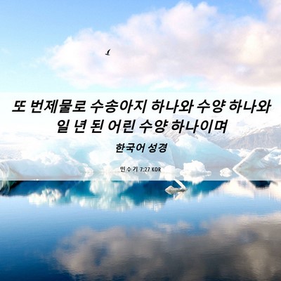 Picture 06 - 민수기 7:27 KOR - 또 번제물로 수송아지 하나와 수양 - Bible Verse Picture