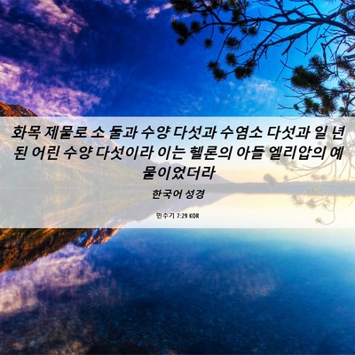 Picture 06 - 민수기 7:29 KOR - 화목 제물로 소 둘과 수양 다섯과 - Bible Verse Picture