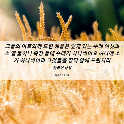 Picture 06 - 민수기 7:3 KOR - 그들의 여호와께 드린 예물은 덮개 - Bible Verse Picture