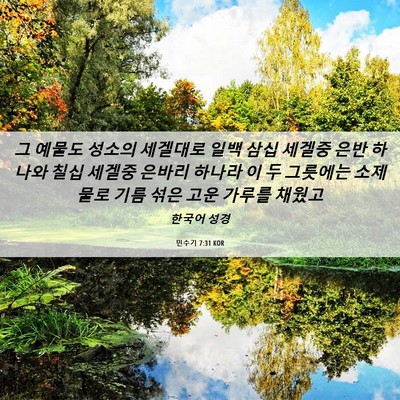 Picture 06 - 민수기 7:31 KOR - 그 예물도 성소의 세겔대로 일백 - Bible Verse Picture