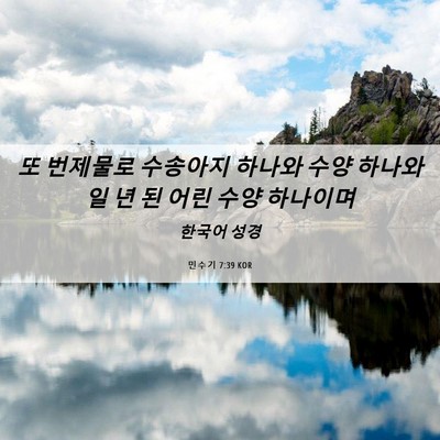 Picture 06 - 민수기 7:39 KOR - 또 번제물로 수송아지 하나와 수양 - Bible Verse Picture