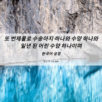 Picture 06 - 민수기 7:51 KOR - 또 번제물로 수송아지 하나와 수양 - Bible Verse Picture