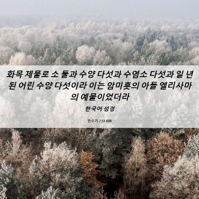 Picture 06 - 민수기 7:53 KOR - 화목 제물로 소 둘과 수양 다섯과 - Bible Verse Picture