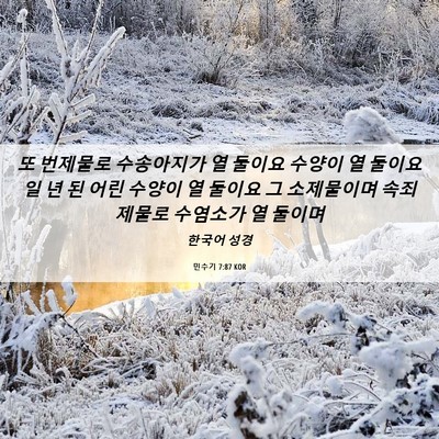 Picture 06 - 민수기 7:87 KOR - 또 번제물로 수송아지가 열 둘이요 - Bible Verse Picture