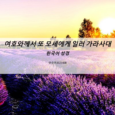 Picture 06 - 민수기 8:23 KOR - 여호와께서 또 모세에게 일러 - Bible Verse Picture