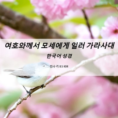 Picture 06 - 민수기 8:5 KOR - 여호와께서 모세에게 일러 - Bible Verse Picture