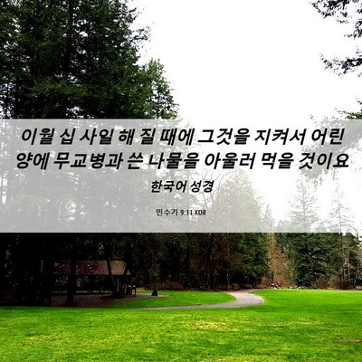 Picture 06 - 민수기 9:11 KOR - 이월 십 사일 해 질 때에 그것을 - Bible Verse Picture