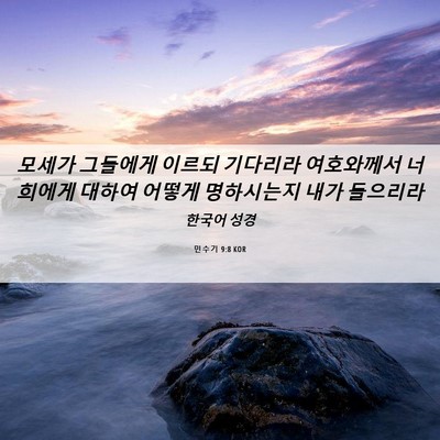 Picture 06 - 민수기 9:8 KOR - 모세가 그들에게 이르되 기다리라 - Bible Verse Picture