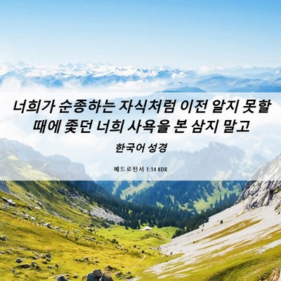 Picture 06 - 베드로전서 1:14 KOR - 너희가 순종하는 자식처럼 이전 알지 - Bible Verse Picture