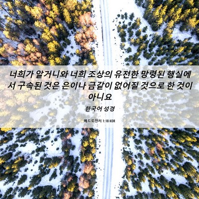 Picture 06 - 베드로전서 1:18 KOR - 너희가 알거니와 너희 조상의 유전한 - Bible Verse Picture