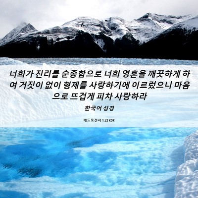 Picture 06 - 베드로전서 1:22 KOR - 너희가 진리를 순종함으로 너희 - Bible Verse Picture