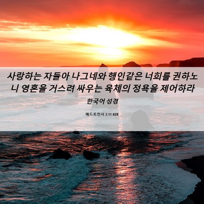Picture 06 - 베드로전서 2:11 KOR - 사랑하는 자들아 나그네와 행인같은 - Bible Verse Picture
