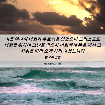 Picture 06 - 베드로전서 2:21 KOR - 이를 위하여 너희가 부르심을 - Bible Verse Picture