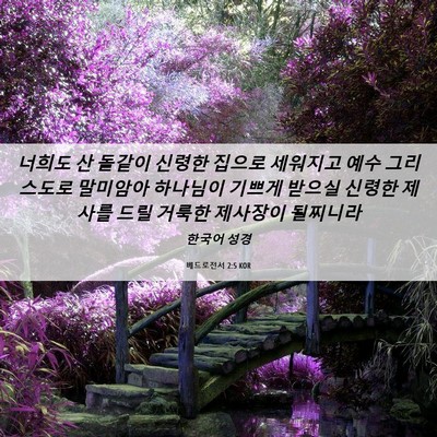 Picture 06 - 베드로전서 2:5 KOR - 너희도 산 돌같이 신령한 집으로 - Bible Verse Picture