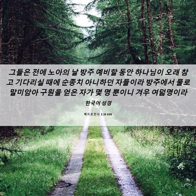 Picture 06 - 베드로전서 3:20 KOR - 그들은 전에 노아의 날 방주 예비할 - Bible Verse Picture